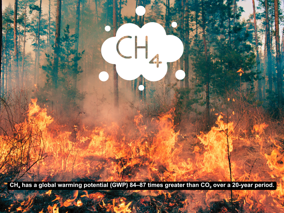CH4 Methane emissions during wildfire