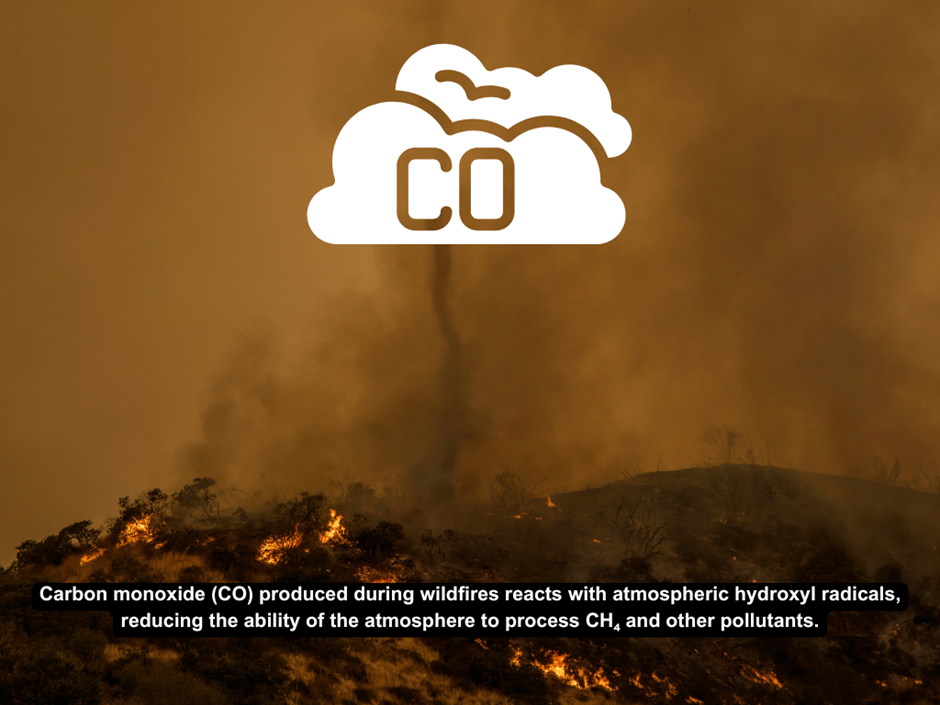 Carbon Monoxide (CO) emissions during wildfires