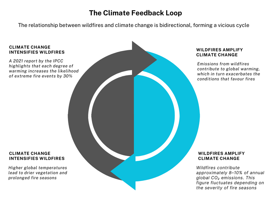 The climate feedback loop during wildfires