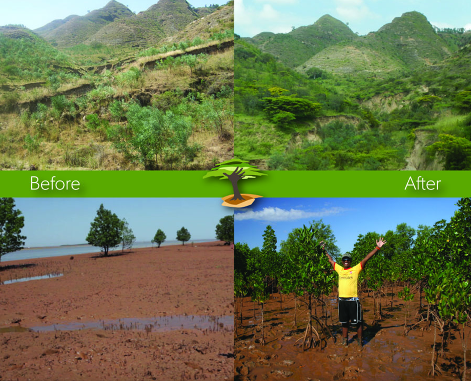 Restoring Nature: A powerful transformation through reforestation and ecological restoration.