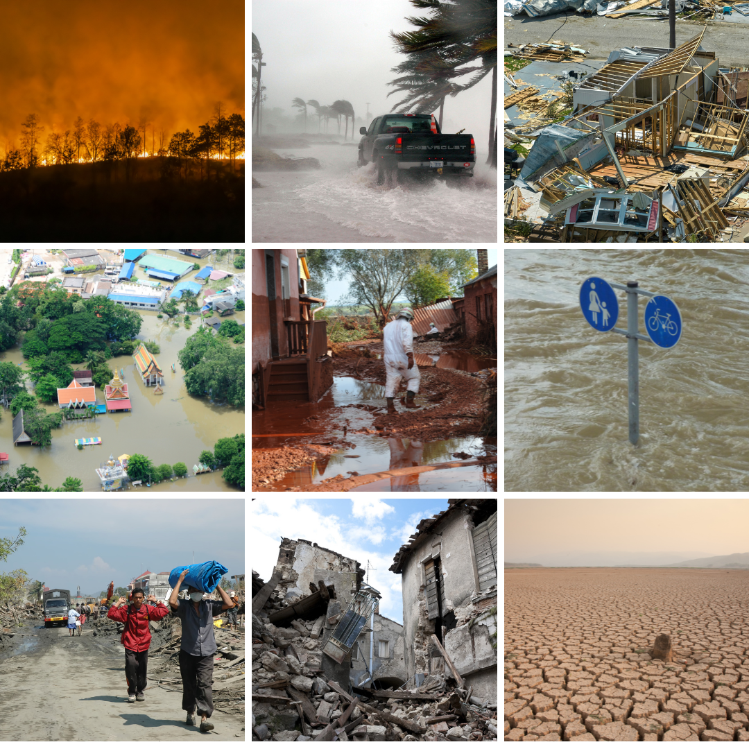 Urbanization in 2024