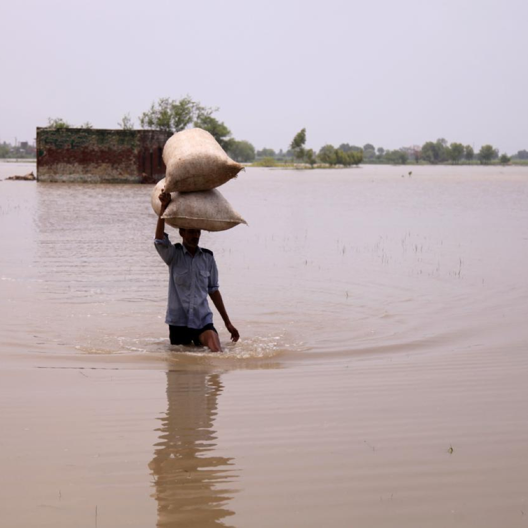 The Impact of Climate Change on Global Food Security in 2024