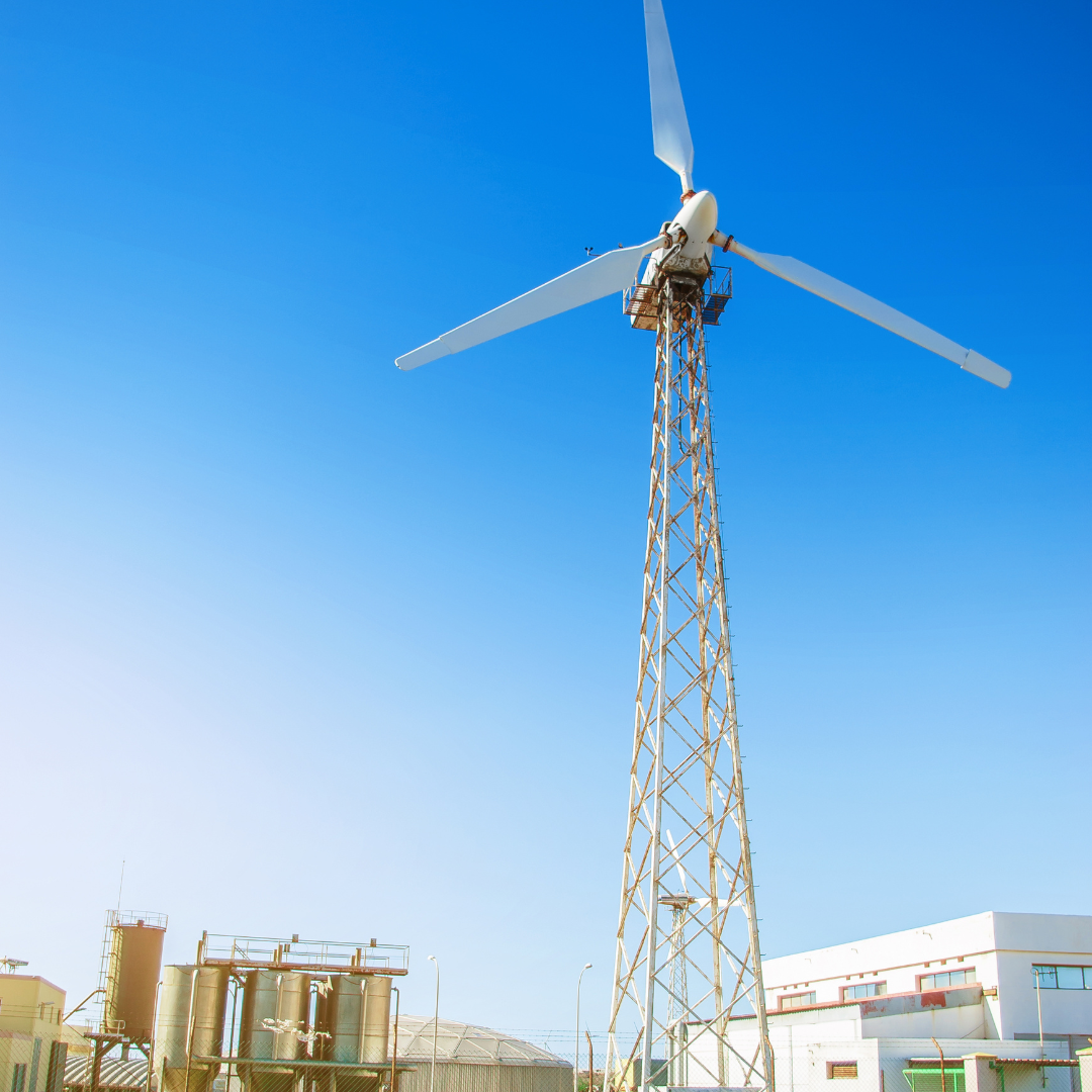 Repowering Wind Farms: Upgrading for a Stronger Renewable Future