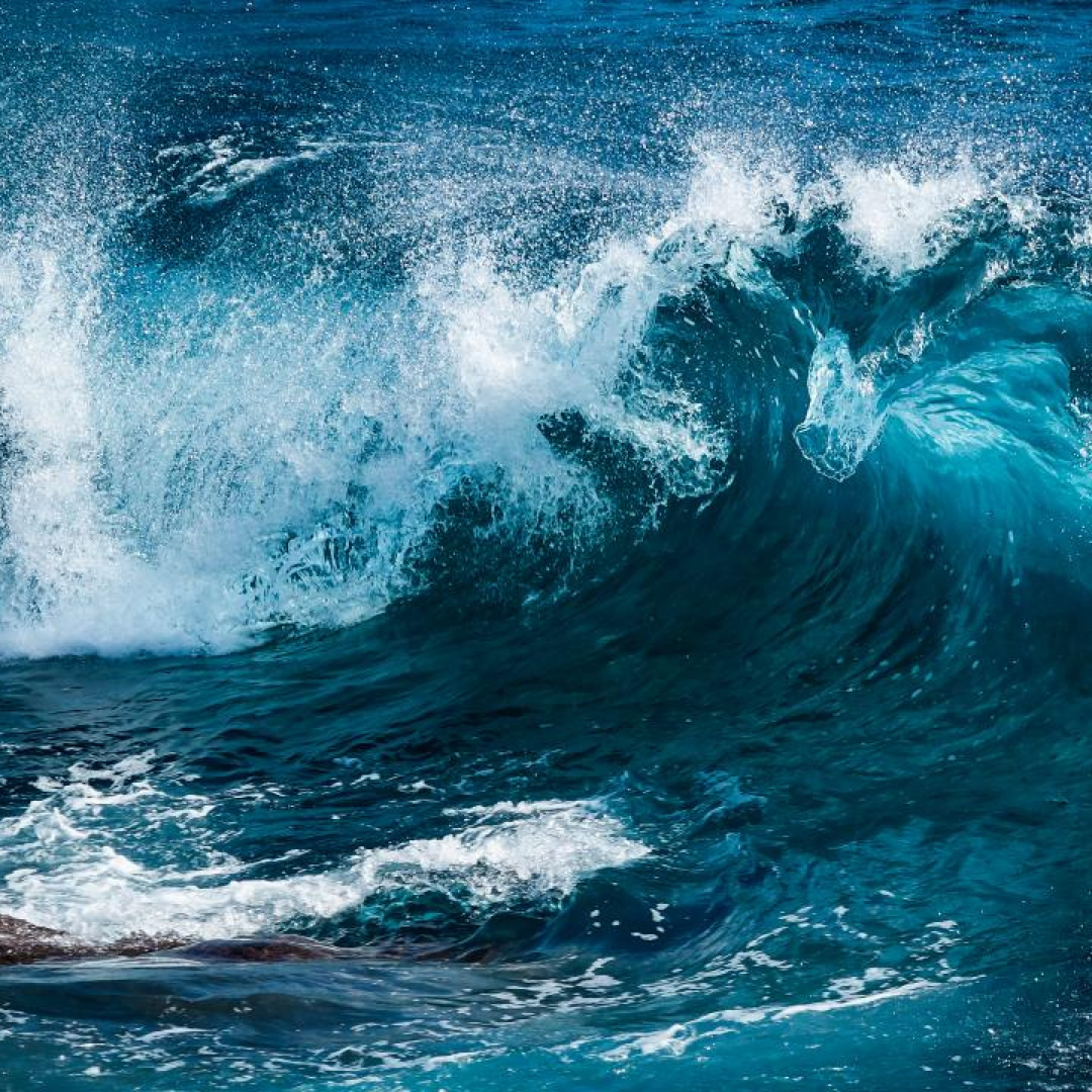 The High Seas Treaty: A Historic Step Towards Global Ocean Protection