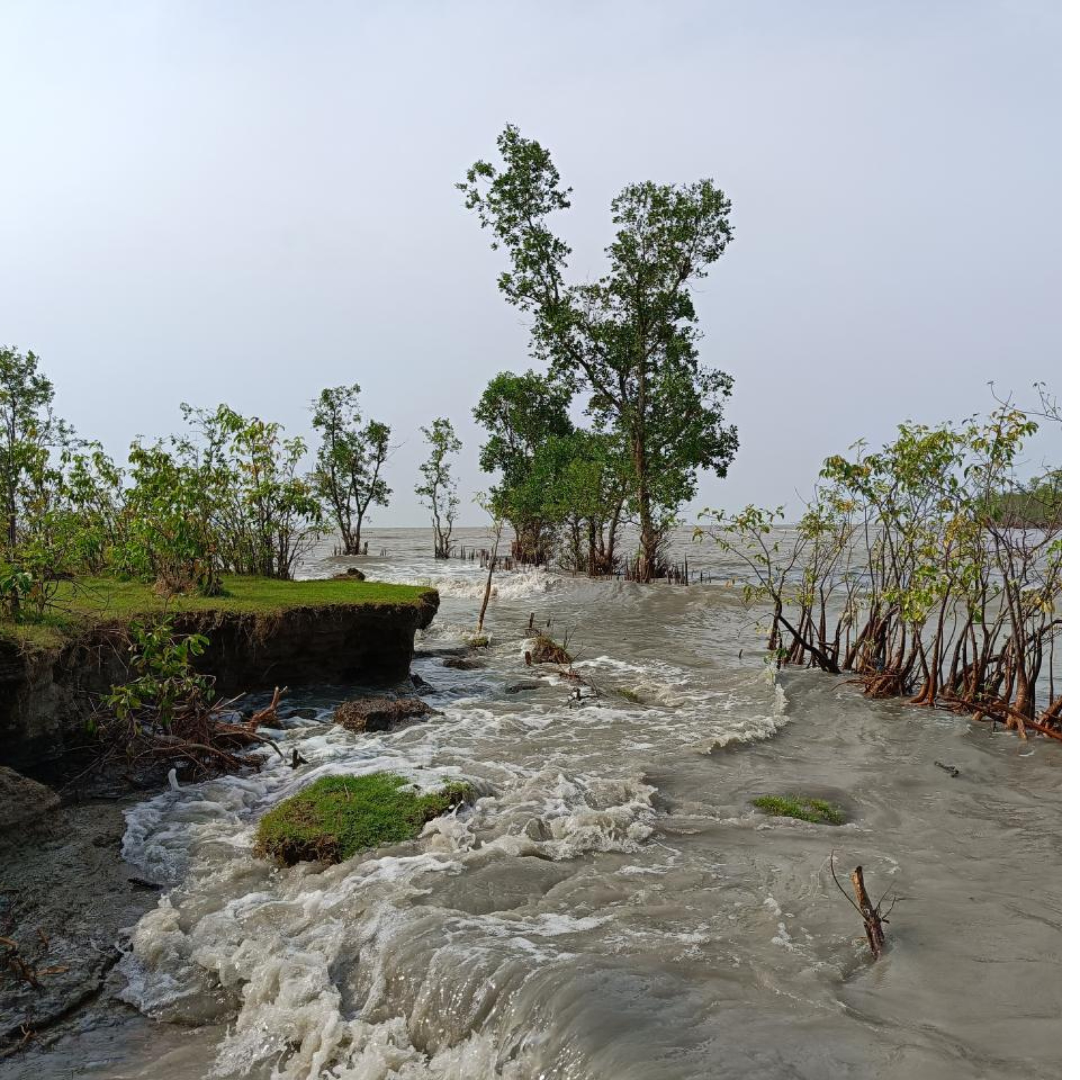 Biodiversity Is the Missing Link in Climate Action: Lessons from the Sundarbans