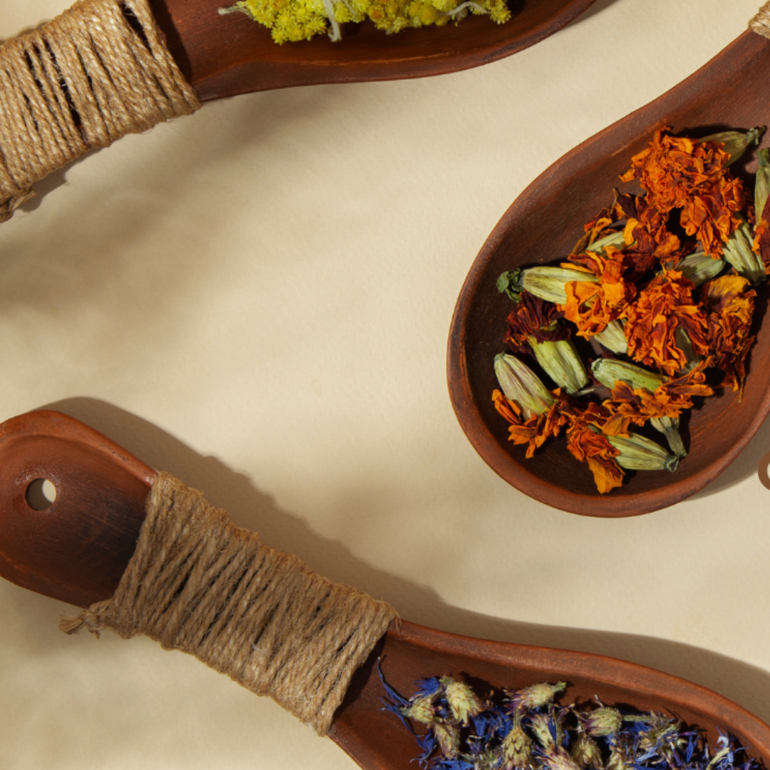 World Wildlife Day 2026: Medicinal and Aromatic Plants – Conserving Health, Heritage & Livelihoods