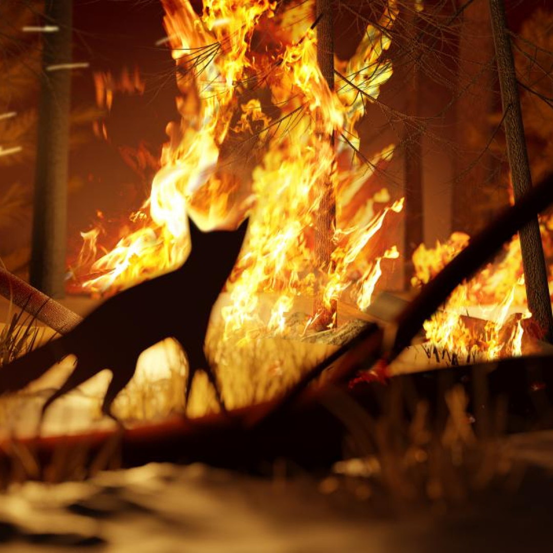 The Carbon Footprint of Wildfires: A Hidden Climate Challenge