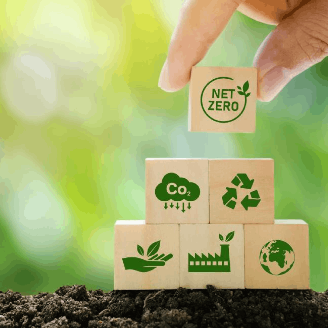 India’s Roadmap to Net Zero: Insights from India Energy Week 2025