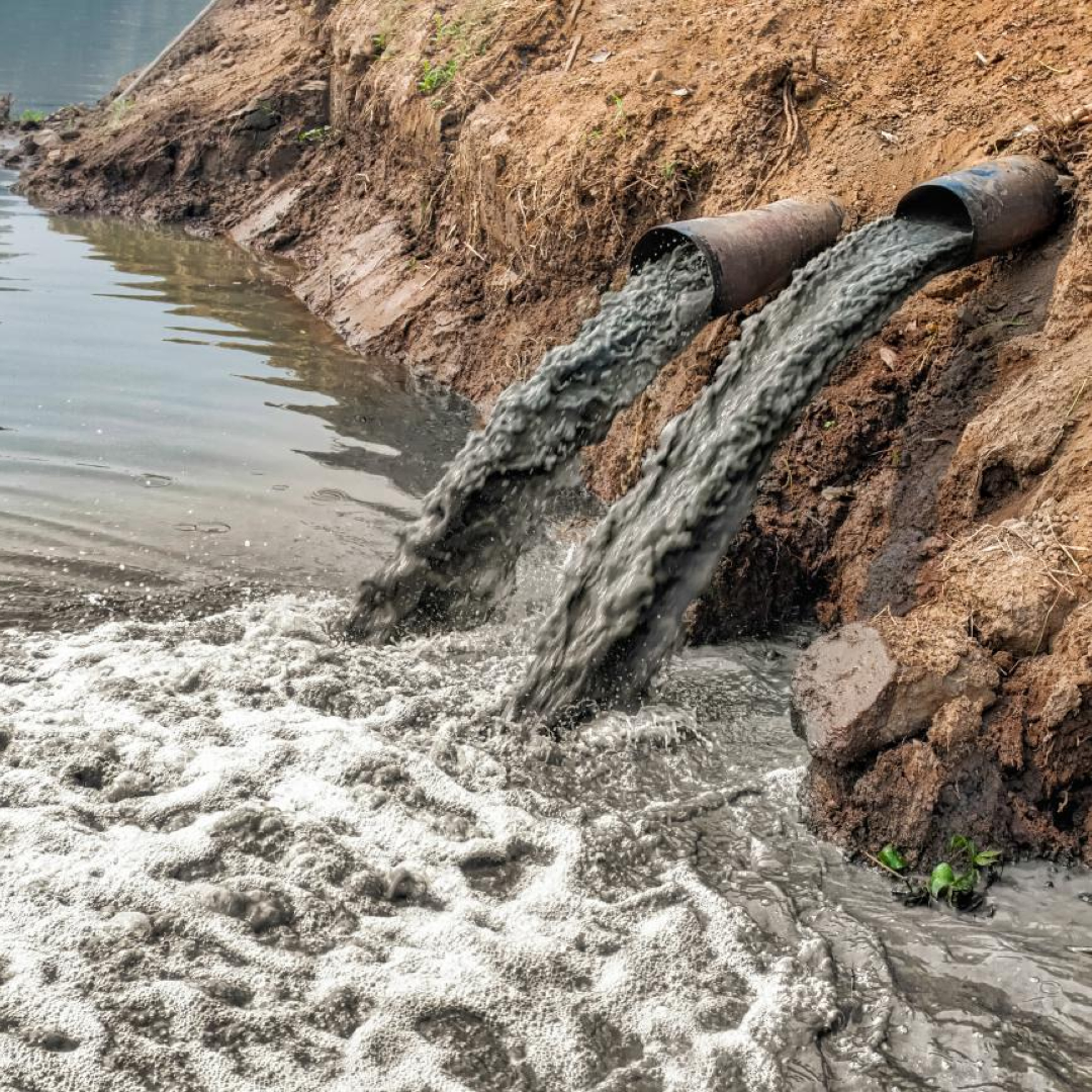 Beyond Pollution: How India is Fighting to Reclaim Its Rivers