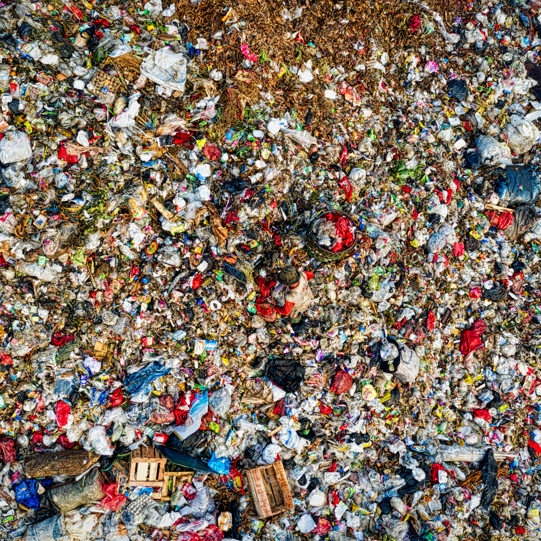 From Waste to Wealth: How Circular Economy Is Reshaping Our Future